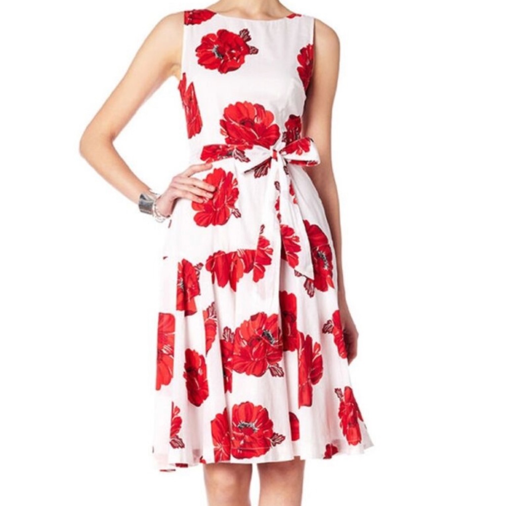 Beautiful NWT Phase Eight Iona Flare Dress